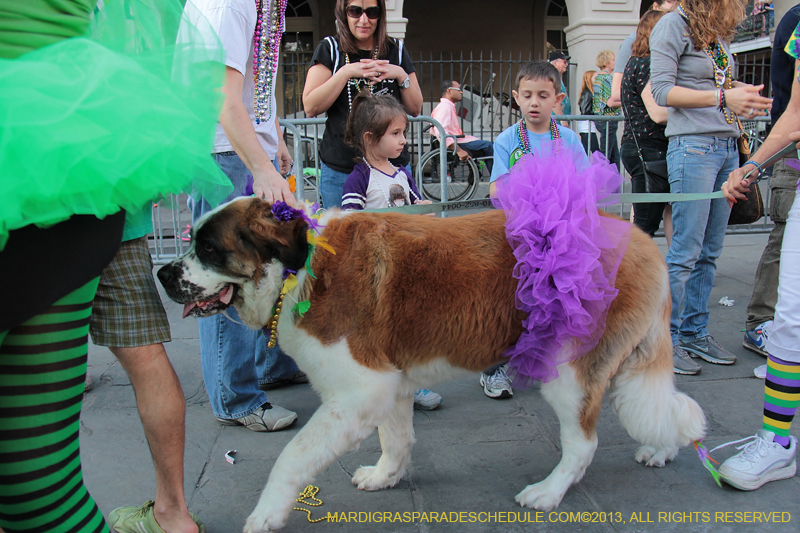 Mystic-Krewe-of-Barkus-2013-1548