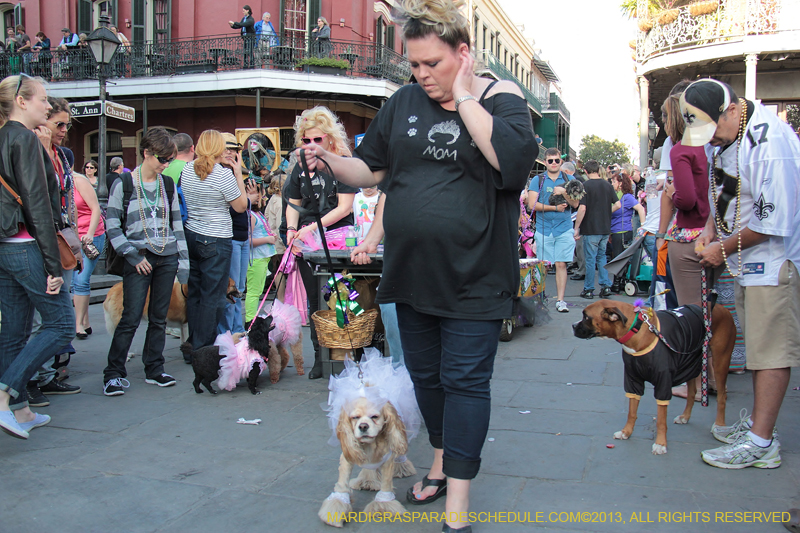 Mystic-Krewe-of-Barkus-2013-1549