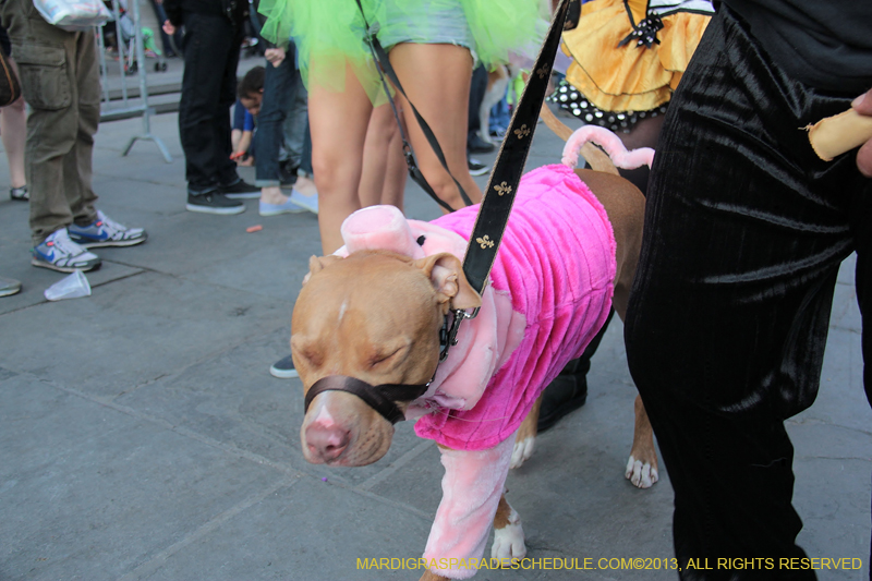 Mystic-Krewe-of-Barkus-2013-1553