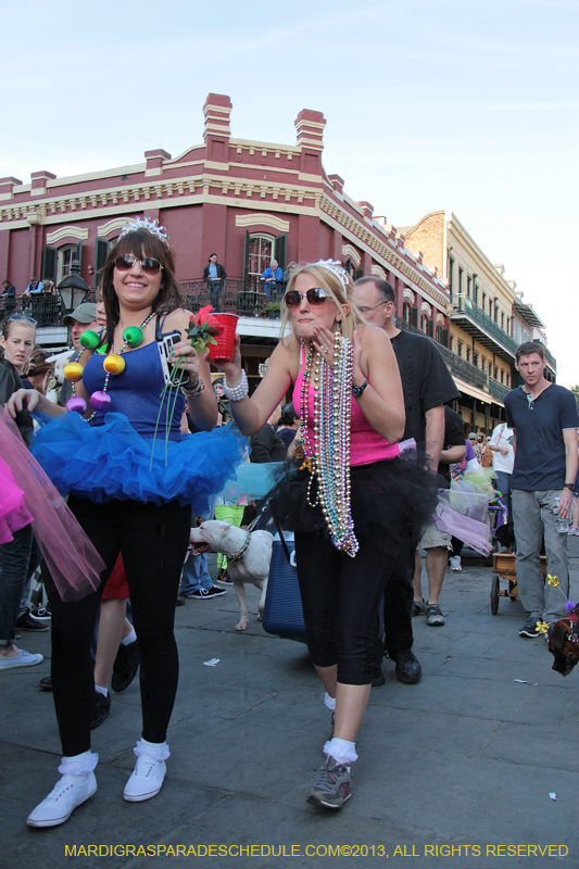 Mystic-Krewe-of-Barkus-2013-1556