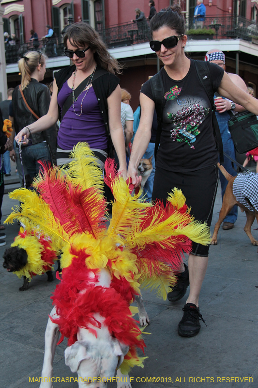 Mystic-Krewe-of-Barkus-2013-1567