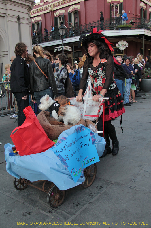 Mystic-Krewe-of-Barkus-2013-1569