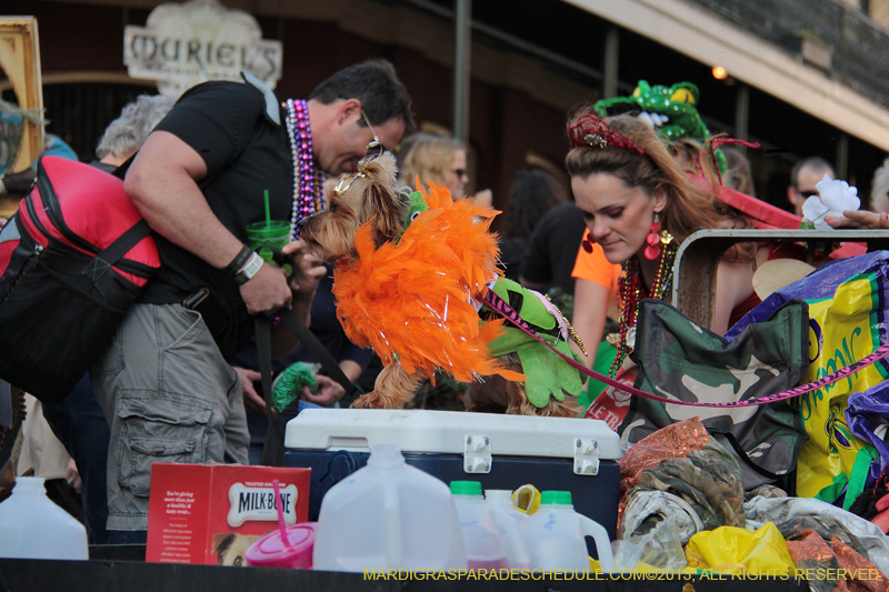 Mystic-Krewe-of-Barkus-2013-1574