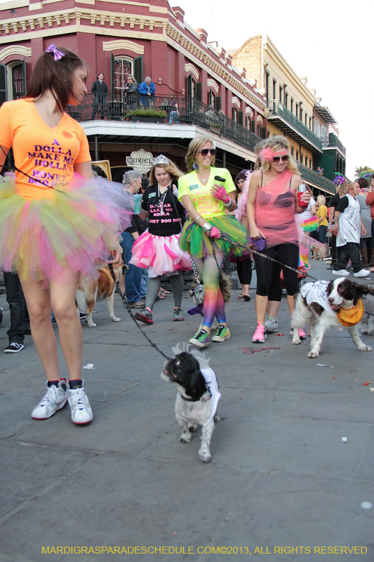 Mystic-Krewe-of-Barkus-2013-1578