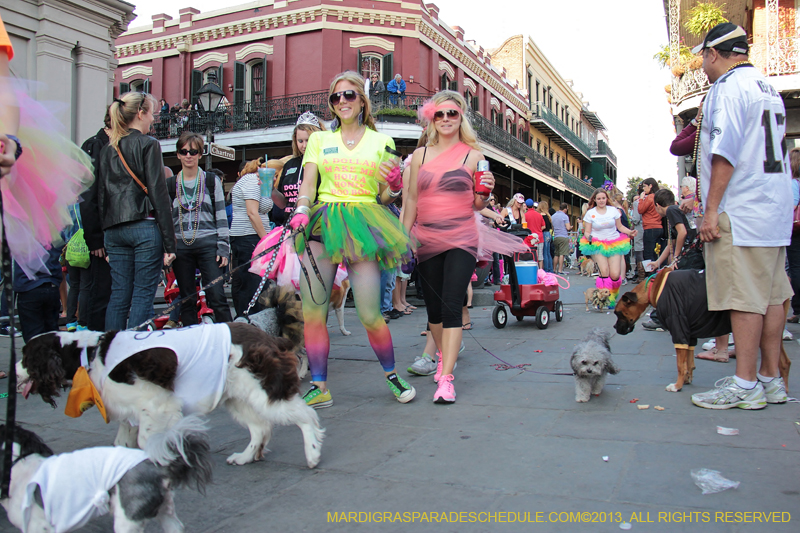 Mystic-Krewe-of-Barkus-2013-1579