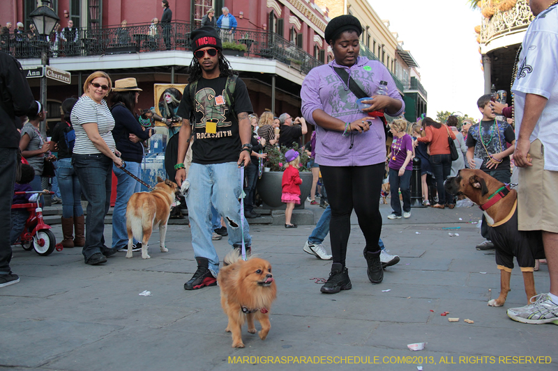 Mystic-Krewe-of-Barkus-2013-1586