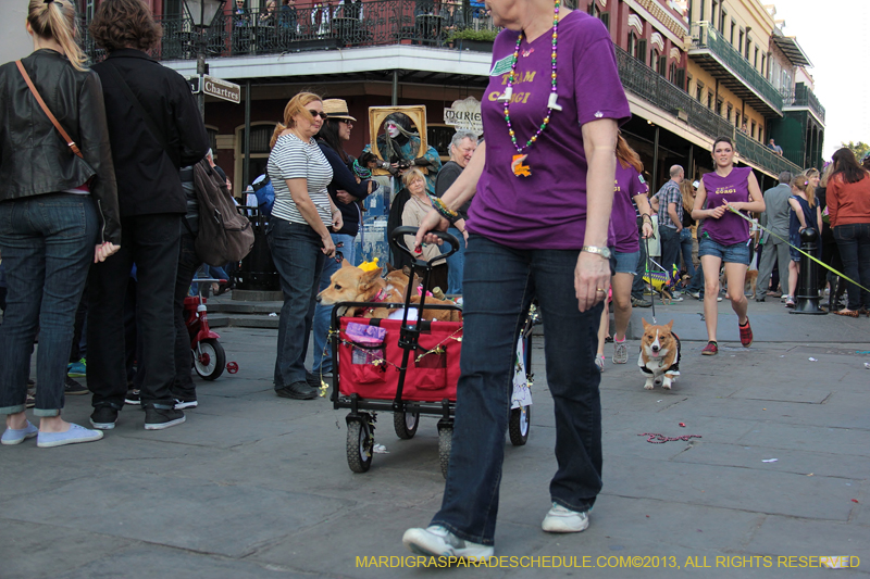 Mystic-Krewe-of-Barkus-2013-1587