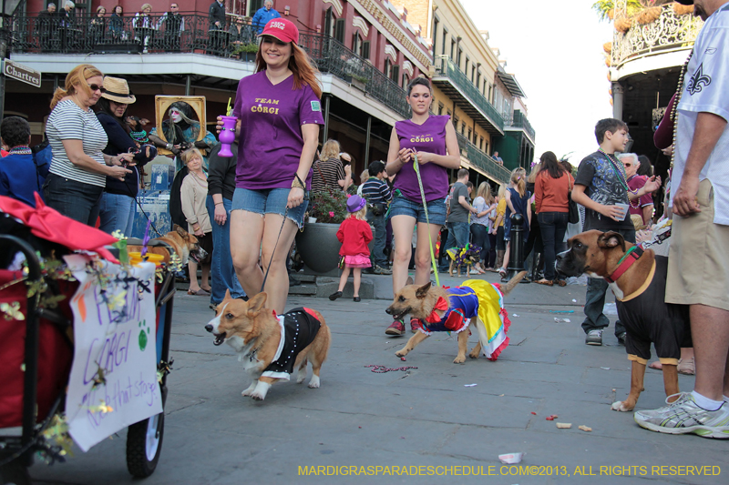 Mystic-Krewe-of-Barkus-2013-1588