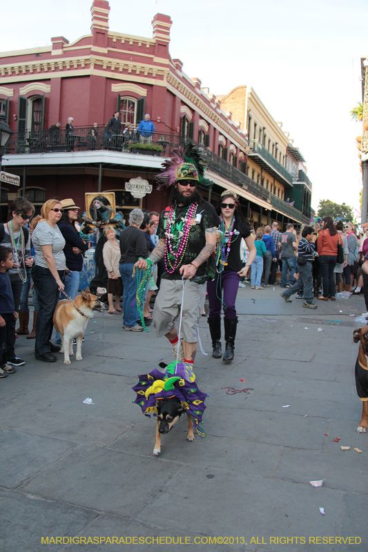 Mystic-Krewe-of-Barkus-2013-1590