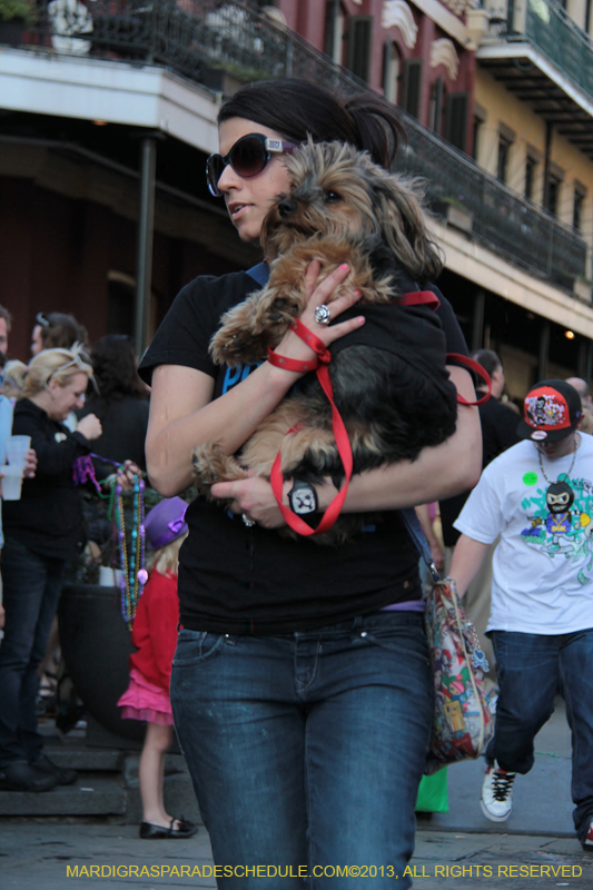 Mystic-Krewe-of-Barkus-2013-1591