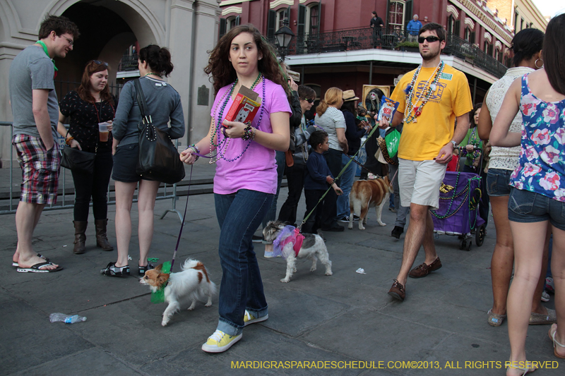 Mystic-Krewe-of-Barkus-2013-1592