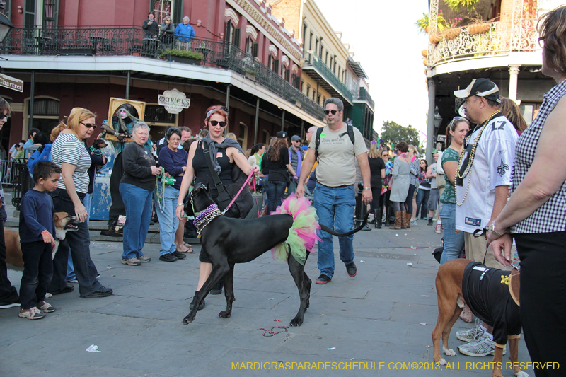 Mystic-Krewe-of-Barkus-2013-1594