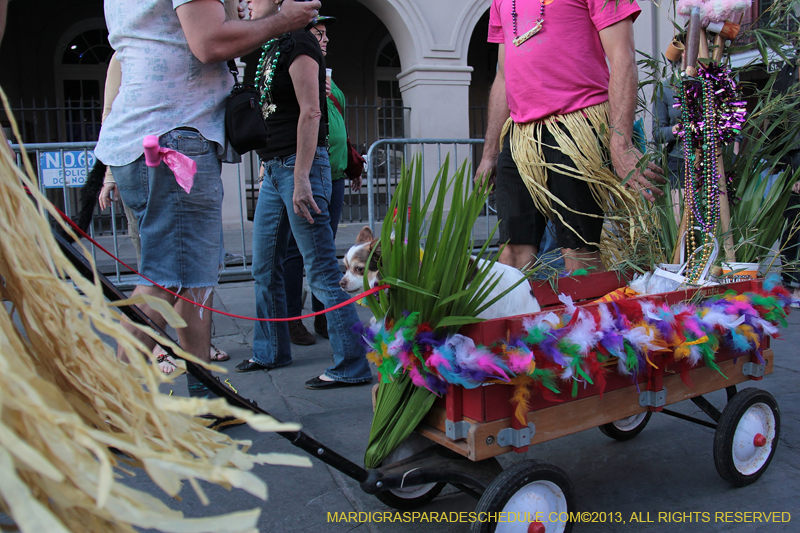 Mystic-Krewe-of-Barkus-2013-1599