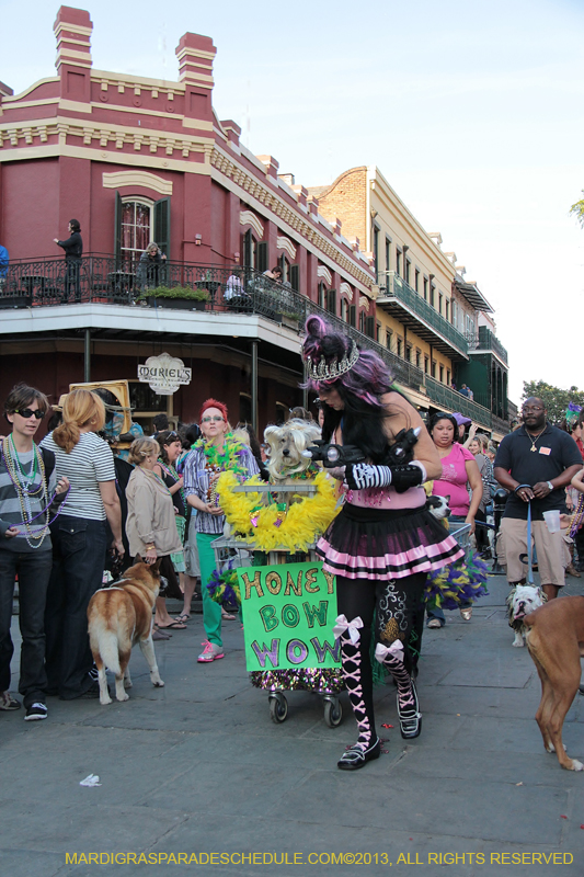 Mystic-Krewe-of-Barkus-2013-1604