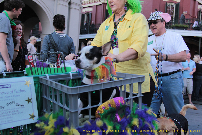 Mystic-Krewe-of-Barkus-2013-1606