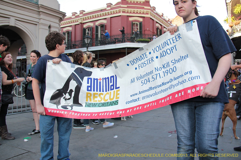 Mystic-Krewe-of-Barkus-2013-1610