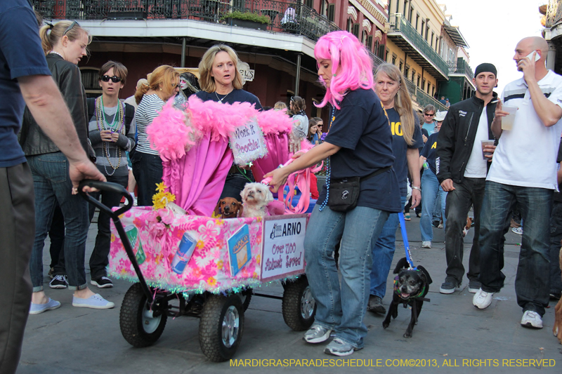 Mystic-Krewe-of-Barkus-2013-1612