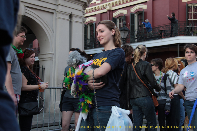 Mystic-Krewe-of-Barkus-2013-1615