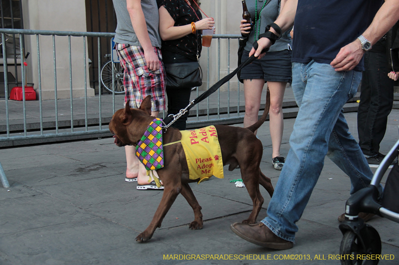 Mystic-Krewe-of-Barkus-2013-1622