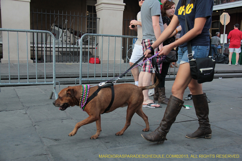 Mystic-Krewe-of-Barkus-2013-1624