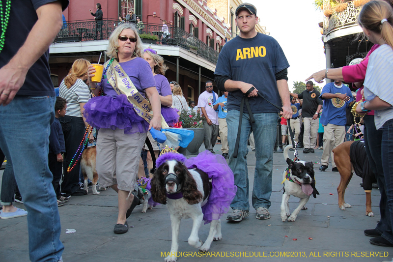 Mystic-Krewe-of-Barkus-2013-1625