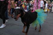 Mystic-Krewe-of-Barkus-2013-1197