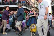 Mystic-Krewe-of-Barkus-2013-1200