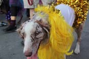 Mystic-Krewe-of-Barkus-2013-1201