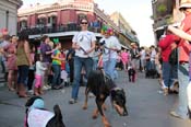 Mystic-Krewe-of-Barkus-2013-1211