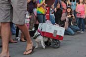 Mystic-Krewe-of-Barkus-2013-1213