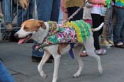 Mystic-Krewe-of-Barkus-2013-1223