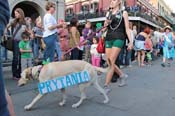 Mystic-Krewe-of-Barkus-2013-1230