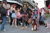 Mystic-Krewe-of-Barkus-2013-1233