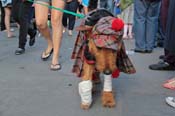 Mystic-Krewe-of-Barkus-2013-1234