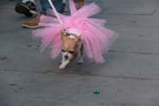 Mystic-Krewe-of-Barkus-2013-1239