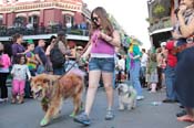 Mystic-Krewe-of-Barkus-2013-1241