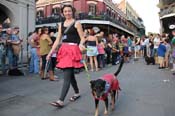 Mystic-Krewe-of-Barkus-2013-1249