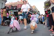 Mystic-Krewe-of-Barkus-2013-1254