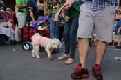 Mystic-Krewe-of-Barkus-2013-1260