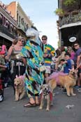 Mystic-Krewe-of-Barkus-2013-1261