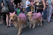 Mystic-Krewe-of-Barkus-2013-1264