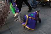 Mystic-Krewe-of-Barkus-2013-1267