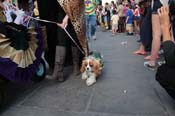 Mystic-Krewe-of-Barkus-2013-1268