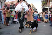 Mystic-Krewe-of-Barkus-2013-1276