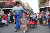 Mystic-Krewe-of-Barkus-2013-1277