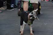 Mystic-Krewe-of-Barkus-2013-1282