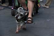 Mystic-Krewe-of-Barkus-2013-1283