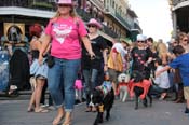 Mystic-Krewe-of-Barkus-2013-1291