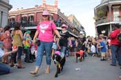 Mystic-Krewe-of-Barkus-2013-1292