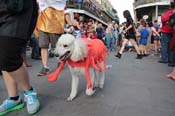 Mystic-Krewe-of-Barkus-2013-1294